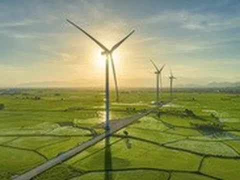 Ngắm bản đồ xanh Khánh Hòa từ trên cao