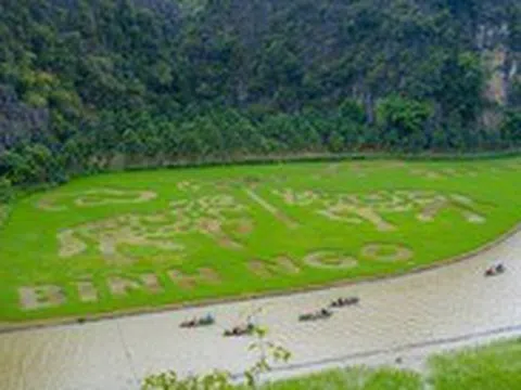 Ninh Bình mời gọi du khách về ngắm mùa vàng Tam Cốc