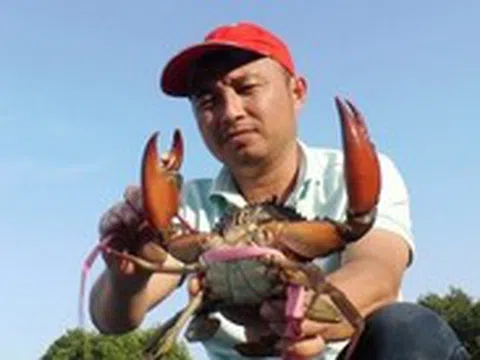 Định vị thương hiệu du lịch Cà Mau