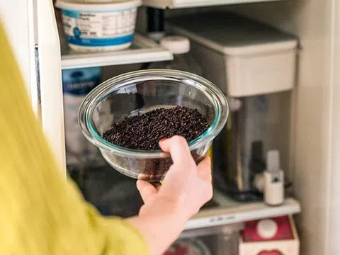 Mẹo khử mùi tủ lạnh cực hiệu quả, không tốn tiền: Nguyên liệu số 1 nhà nào cũng có