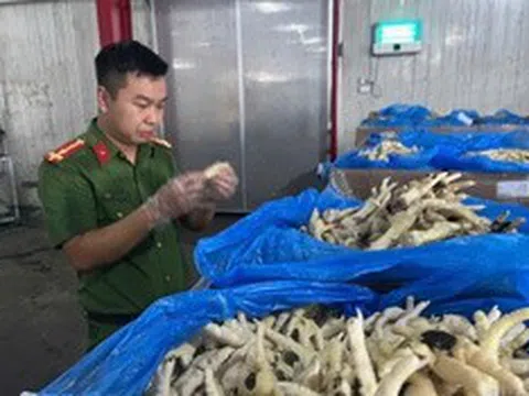 Khởi tố nữ giám đốc tuồn hơn 10.000 tấn chân gà nhập lậu ra thị trường