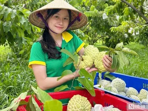 Cơ hội và thách thức khi đưa nông sản lên sàn thương mại điện tử