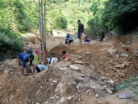 Giấc mộng vàng và nước mắt rừng phòng hộ Yên Na - Bài cuối: Cần sự đối diện trung thực và quyết liệt ngăn chặn