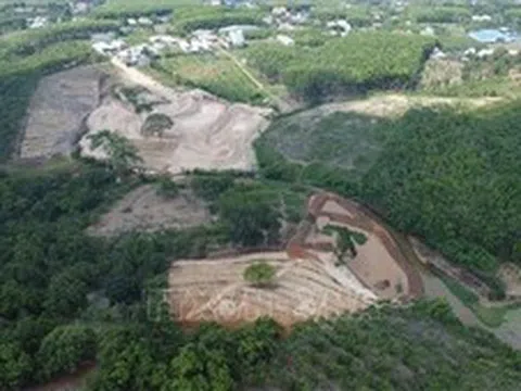 Đồng Nai xử phạt vụ đắp đập, lấn chiếm lòng hồ sau phản ánh của TTXVN