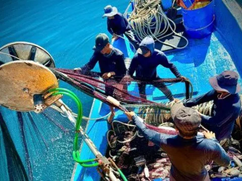 Theo chân ngư dân Quảng Ngãi trên ngư trường