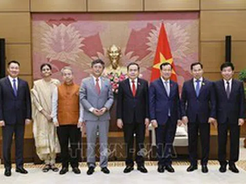 Phối hợp chặt chẽ triển khai các thỏa thuận hợp tác giữa Việt Nam, Ấn Độ