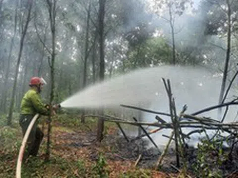 Quyết liệt triển khai các biện pháp cấp bách về
phòng cháy, chữa cháy rừng