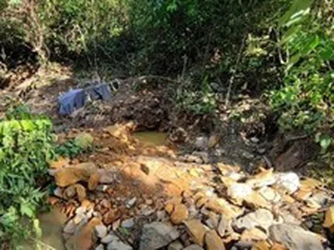 Giấc mộng vàng và nước mắt rừng phòng hộ Yên Na - Bài 1: Giấc mộng đổi đời từ... tin đồn