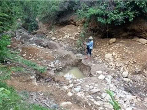 Giấc mộng vàng và nước mắt rừng phòng hộ Yên Na - Bài 2: Rừng phòng hộ 'chảy máu'