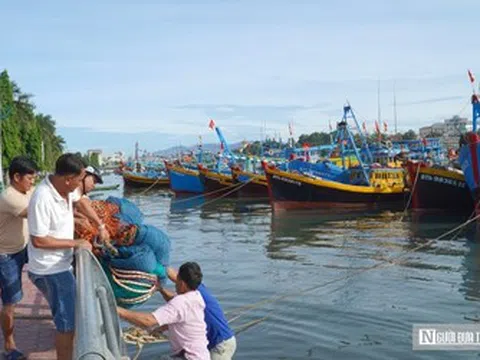 Chủ tàu "đỏ mắt" tìm bạn thuyền, nghề biển đối mặt bài toán thiếu lao động