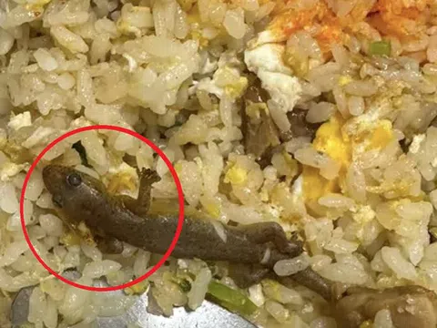 Đang ăn cơm rang, cô gái sốc khi thấy thứ "đáng sợ" trong đĩa