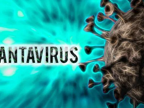 Bộ Y tế thông tin mới nhất về bệnh do virus Hanta