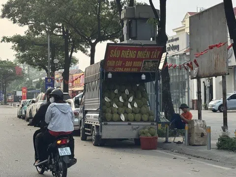 Loạt cơ sở được GACC chấp nhận kiểm nghiệm chỉ tiêu Cadimi và Vàng O