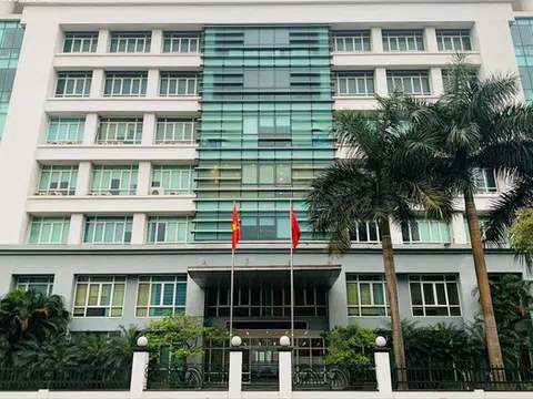 Nhiều sai phạm trong đấu thầu tại Cục Hàng hải và Đường thủy Việt Nam