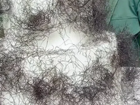 Bánh kem phủ "tóc rối" gây sốt tại Việt Nam: Nhìn như tóc thật nhưng ai cũng tò mò muốn thử