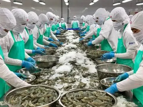 "Ông lớn" ngành tôm một thời ghi nhận doanh thu chưa tới 200 triệu đồng