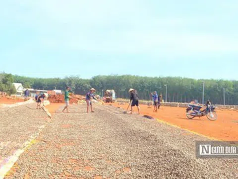 Hạt điều Việt và cuộc chuyển mình khỏi "lời nguyền gia công" - Kỳ 2: Ai hưởng lợi lớn nhất?