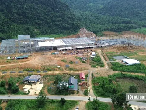 Nhà máy sản xuất ván tre 3.200 tỷ mở đường đưa cây tre Việt "xuất ngoại"