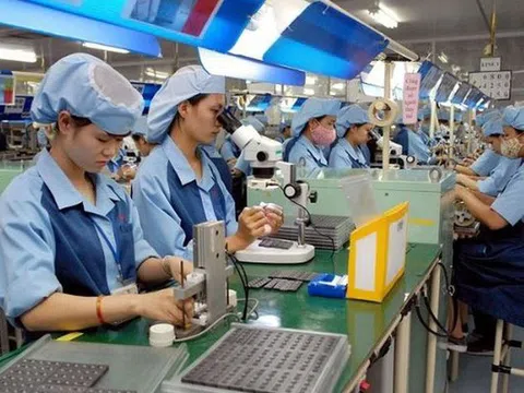 Không ký HĐLĐ khi thử việc đạt yêu cầu, doanh nghiệp bị phạt thế nào?