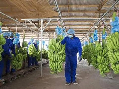 Hoàng Anh Gia Lai báo lãi nghìn tỷ sau cú đảo chiều hoạt động tài chính