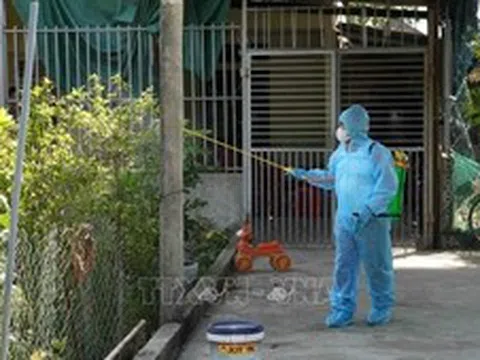 Kiểm soát, xử lý triệt để khu vực có nguy cơ gây dịch sốt xuất huyết