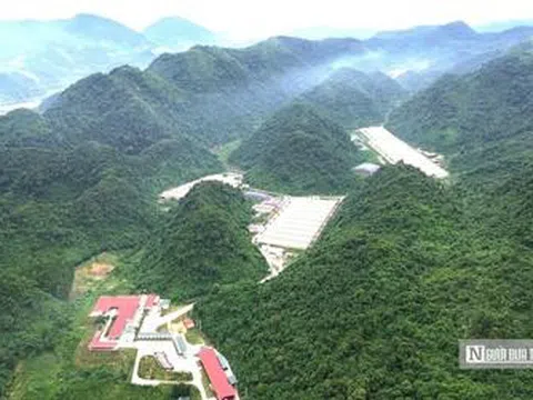 Tổng kiểm tra các cơ sở chăn nuôi sau vụ 5 công nhân tử vong ở trang trại lợn