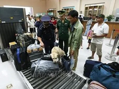 Xử lý gần 20.000 vụ buôn lậu, hàng giả trong 6 tháng đầu năm