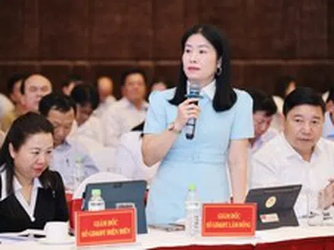 Quản trị trường quy mô lớn: Không chỉ là chọn lại hiệu trưởng