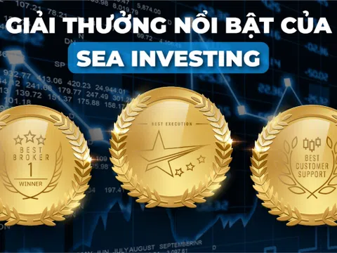 Tiêu chí đánh giá sàn Sea Investing chính xác nhất