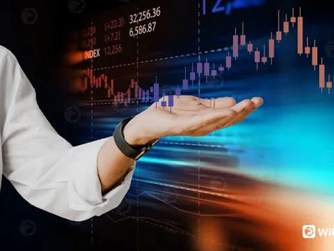 WIKIFX LIVE - Nơi trao đổi kinh nghiệm giao dịch thực chiến