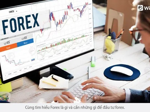 Forex là gì? Nhà đầu tư Việt Nam cần biết gì trước khi đầu tư Forex?