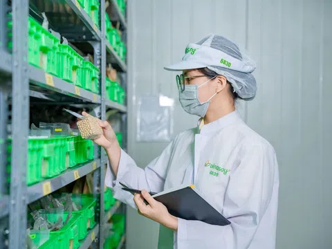 Vinasoy công bố thông điệp mới, kiến tạo dưỡng chất lành từ đậu nành và hạt