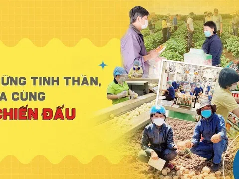 PepsiCo Foods - Những ý chí không bao giờ bỏ cuộc