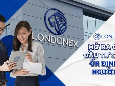 Tạo Thu Nhập Thụ Động Tại Londonex - Tại Sao Không?