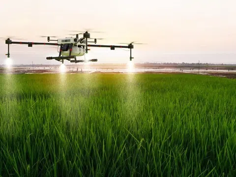 Adept Link và Sarafin AI “bắt tay” đưa giải pháp AI để cải tiến nông nghiệp