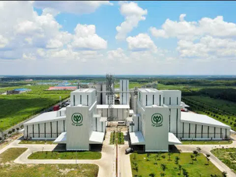  C.P Việt Nam luôn lấy khách hàng làm gốc