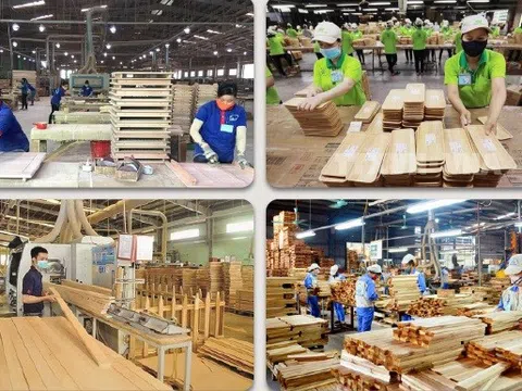 VIFOREST tăng cường năng lực cạnh tranh cho doanh nghiệp thông qua chuyển đổi số trong kỷ nguyên vươn mình