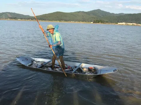 Đã mắt ngắm đàn cá đồng tươi roi rói, nhảy như làm xiếc
