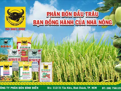Phân bón Bình Điền đặt kế hoạch doanh thu hơn 6.200 tỷ đồng trong 2019