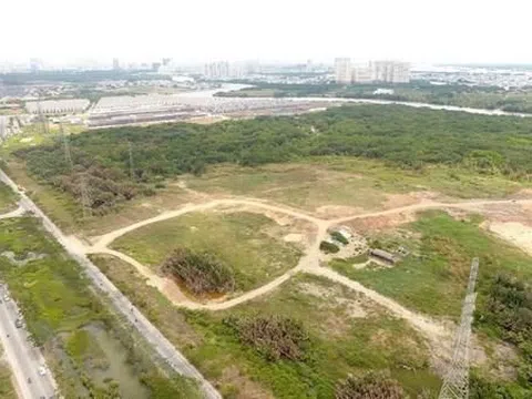 TP HCM: Nhiều sai phạm nghiêm trọng việc cổ phần hóa tại Công ty IPC