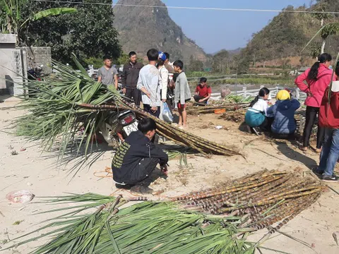 Lai Châu: Đắm say phiên chợ vùng cao