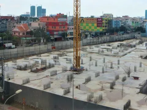 Kiến nghị thanh tra dự án Aio City của Công ty Hoa Lâm - Shangrila