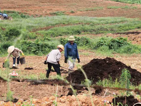 Đề nghị truy tố 12 bị can trong vụ án Trần Bắc Hà