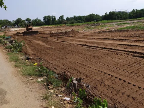 TP.HCM: Nhiều nhà đầu tư gom đất nông nghiệp “ôm mộng” đổi đời