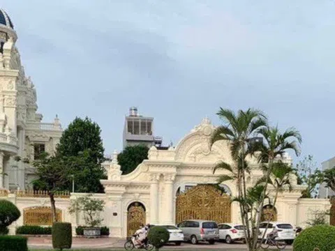 Khởi tố, bắt tạm giam ông Ngô Văn Phát “đại gia” xăng dầu Việt Nam