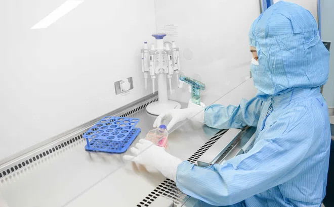 Vinmec làm chủ kỹ thuật khó bậc nhất, mở lại hy vọng cho bệnh nhân ung thư máu kháng trị