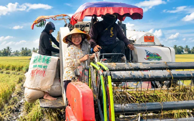 Kỹ sư Võ Thị Ngọc: Gieo những hạt giống mới từ tình yêu đồng ruộng