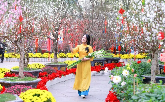 Miền Bắc đón không khí lạnh dồn dập, trời trở rét ngày cuối năm