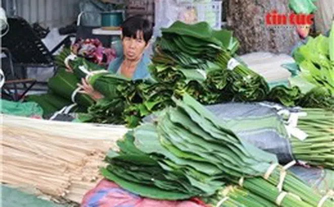 Chợ lá dong lớn nhất TP Hồ Chí Minh vào mùa Tết