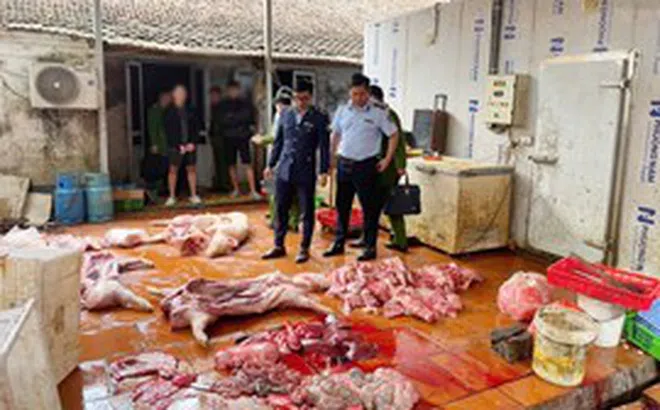 Chuyển cơ quan điều tra vụ gần 1 tấn thịt lợn nghi nhiễm dịch tả lợn châu Phi tại Hưng Yên